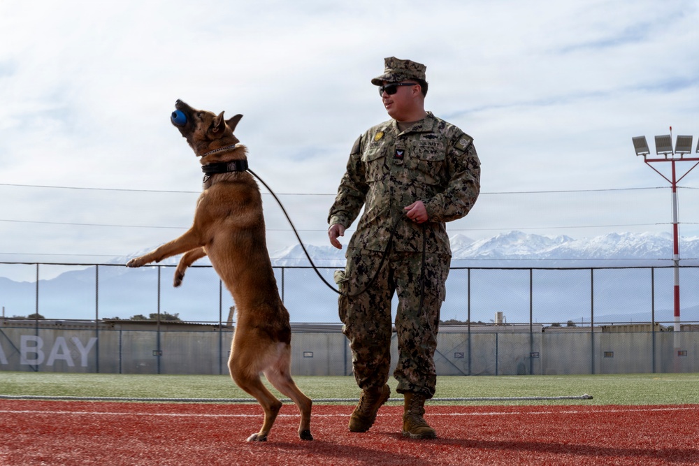 Military Working Dog Demonstration Onboard NSA Souda Bay