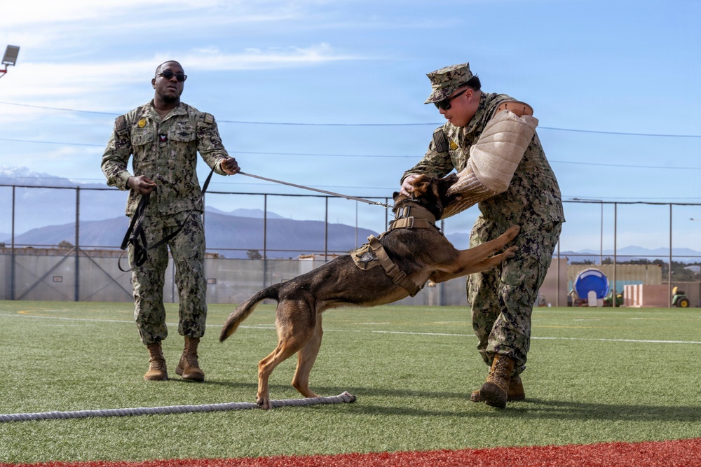 Military Working Dog Demonstration Onboard NSA Souda Bay