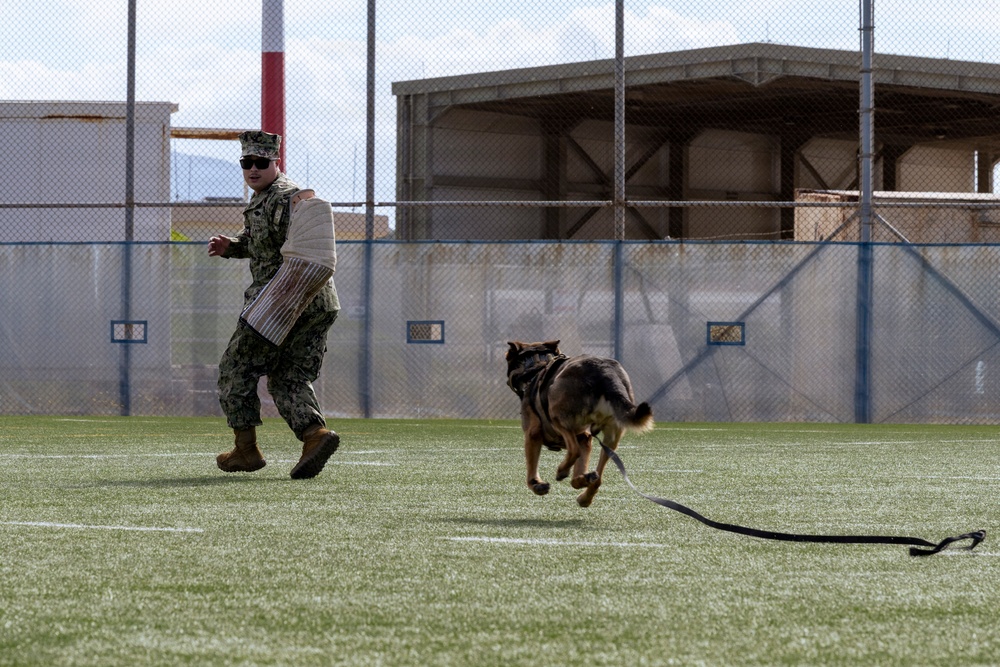 Military Working Dog Demonstration Onboard NSA Souda Bay