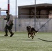 Military Working Dog Demonstration Onboard NSA Souda Bay