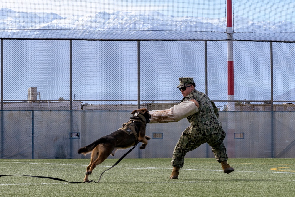 Military Working Dog Demonstration Onboard NSA Souda Bay