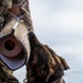 Military Working Dog Demonstration Onboard NSA Souda Bay