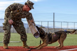 Military Working Dog Demonstration Onboard NSA Souda Bay