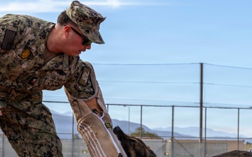 Military Working Dog Demonstration Onboard NSA Souda Bay