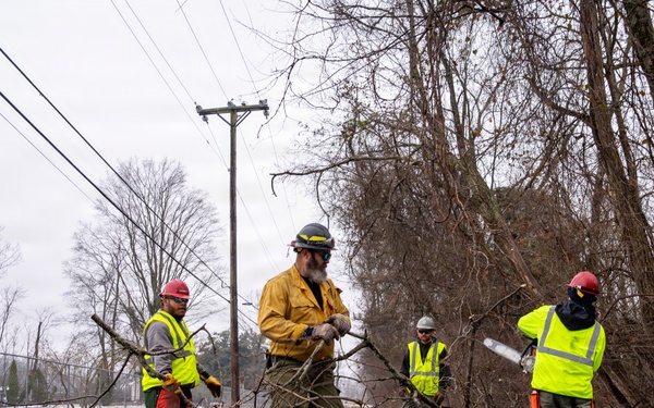 U.S. Forest Service Cut and Toss Crews Clear Debris after Winter Storms in Tennessee