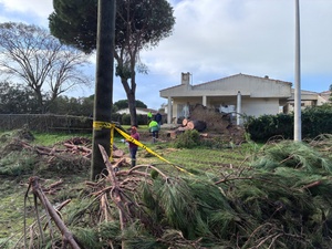 AFN Naples Radio News - Military Working Dogs Training and USAG Stuggart Sensory Santa