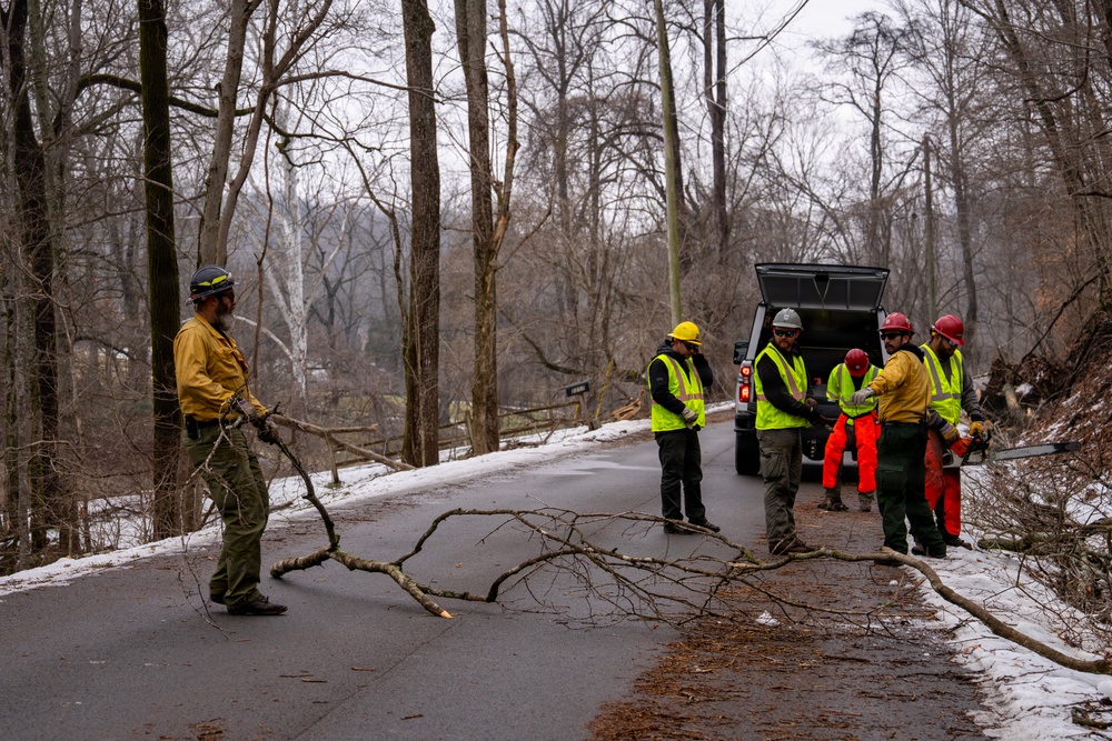 U.S. Forest Service Cut and Toss Crews Clear Debris after Winter Storms in Tennessee