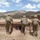 Soldiers watching the ridgelines Soldiers watching the ridgelines