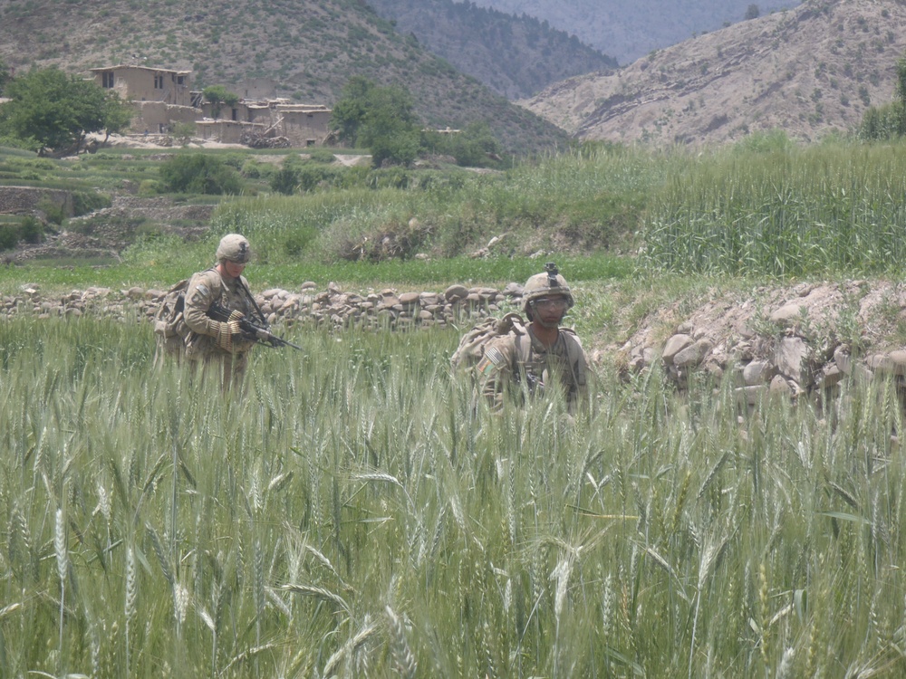 Soldiers patrol field