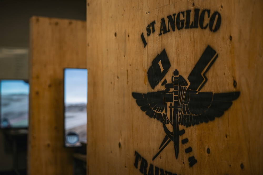 1st ANGLICO conducts call for fire training