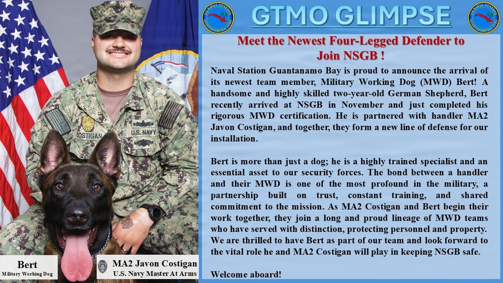 Meet the Newest Four-Legged Defender to Join NSGB