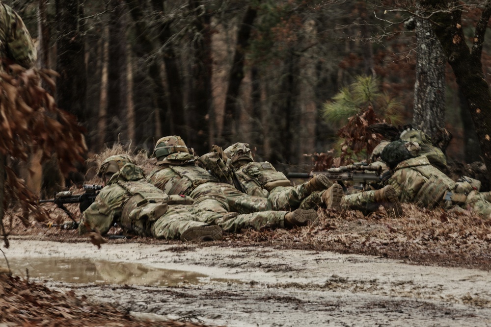 Panther Avalanche Platoon Live Fire