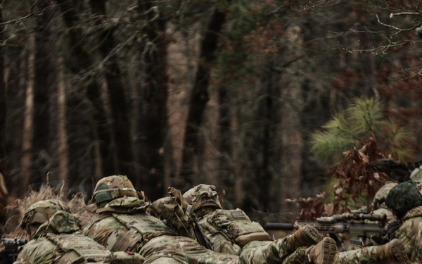Panther Avalanche Platoon Live Fire