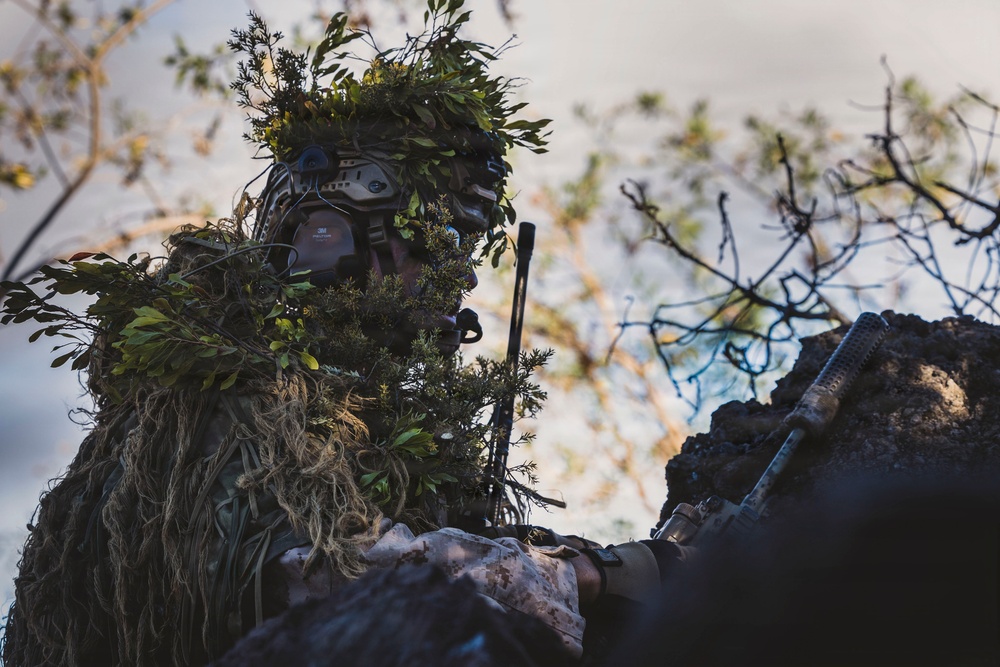 3rd LCT executes support by fire during company attacks at PTA