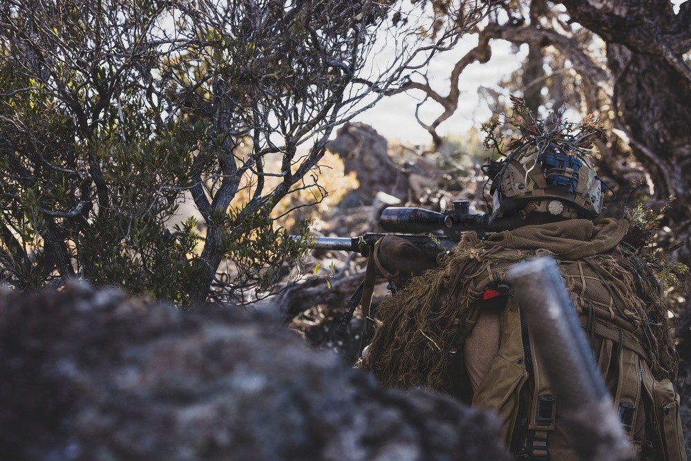 3rd LCT executes support by fire during company attacks at PTA