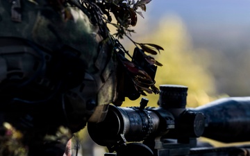 3rd LCT executes support by fire during company attacks at PTA