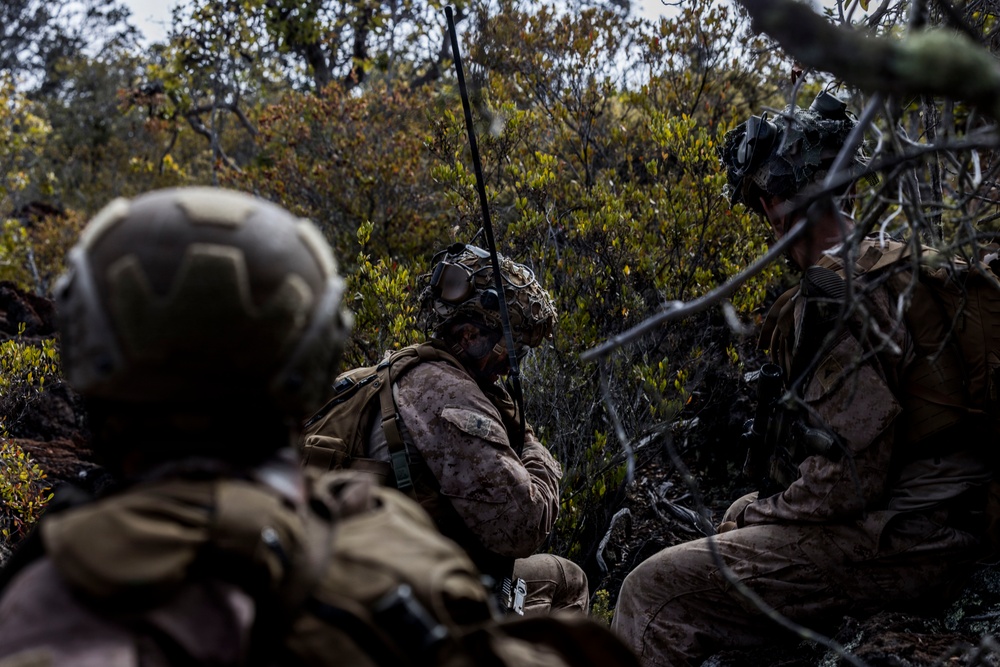 3rd LCT executes support by fire during company attacks at PTA