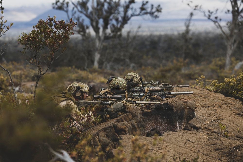 3rd LCT executes support by fire during company attacks at PTA