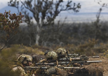 3rd LCT executes support by fire during company attacks at PTA