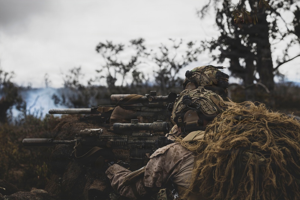 3rd LCT executes support by fire during company attacks at PTA