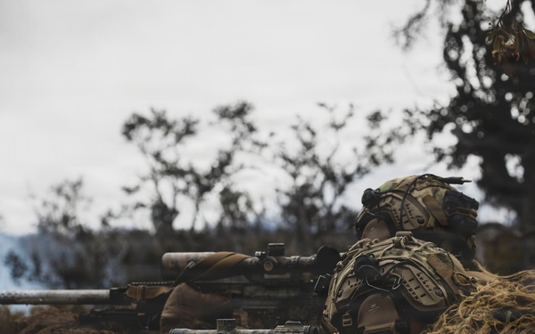 3rd LCT executes support by fire during company attacks at PTA