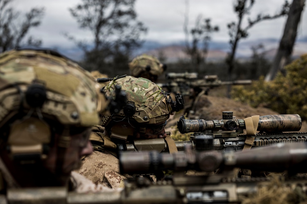 3rd LCT executes support by fire during company attacks at PTA