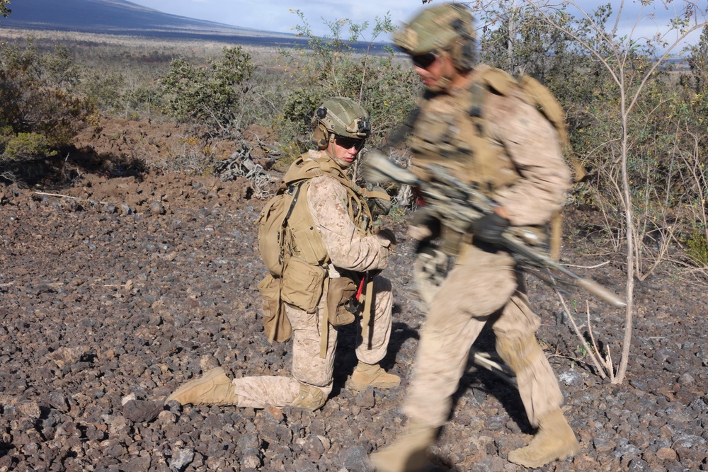 3rd LCT Marines execute company attacks at PTA