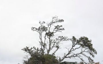 3rd LCT Marines execute company attacks at PTA