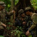 Combined Jungle Operations Training Course 26-2: Assault Mission