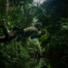 Combined Jungle Operations Training Course React to Contact Mission
