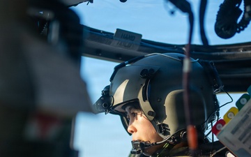 2-2 AHB Conducts Combined Night Air Assault Training