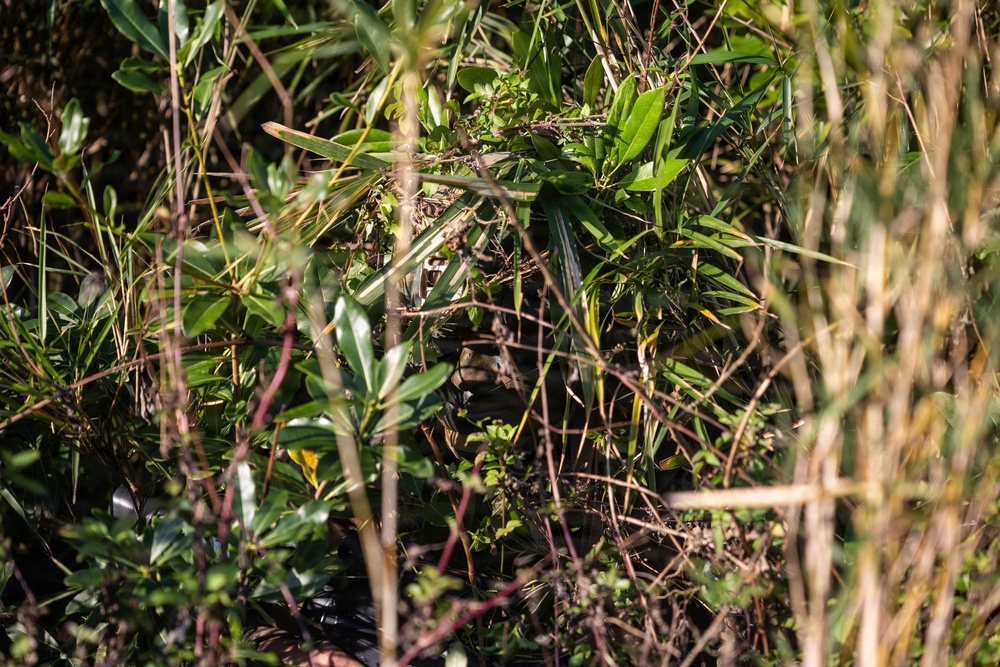 MWCS-18 Marines train in Okinawa’s Central Training Area