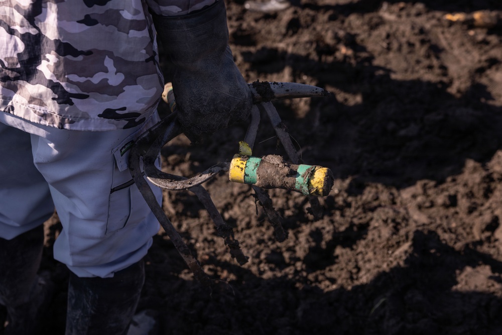 MCAS Iwakuni Volunteers and local community dig up Lotus Roots