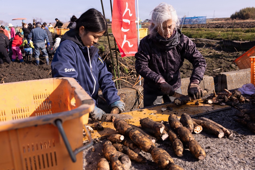 MCAS Iwakuni Volunteers and local community dig up Lotus Roots