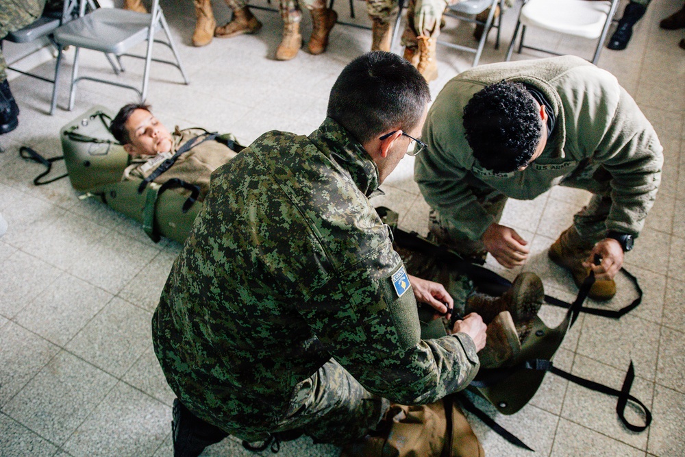 Charlie Company, 53rd Brigade Support Battalion partners with Kosovo Security Force Medical Regiment during joint training