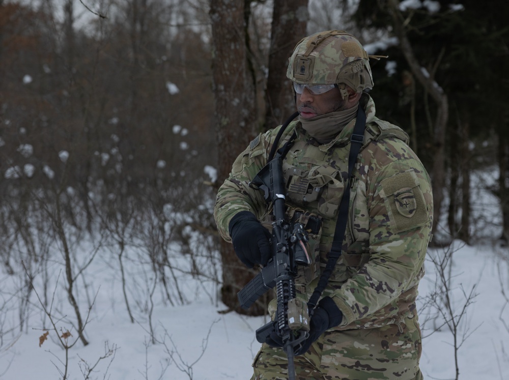 3-8 conduct Operation Warhorse Surge alongside NATO allies