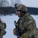 3-8 conduct Operation Warhorse Surge alongside NATO allies
