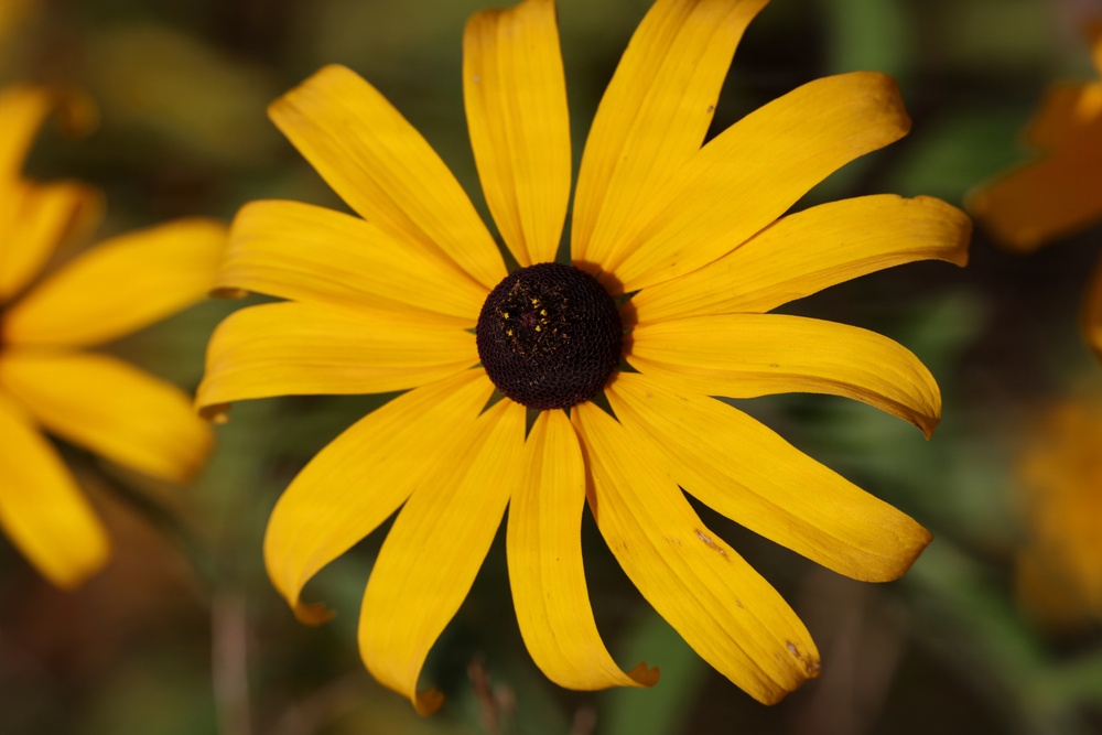 Mountain Biking on the Agonikak National Recreation Trail