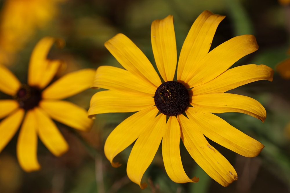 Mountain Biking on the Agonikak National Recreation Trail