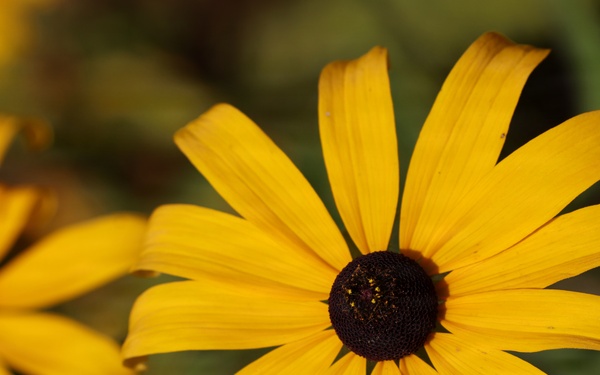 Mountain Biking on the Agonikak National Recreation Trail