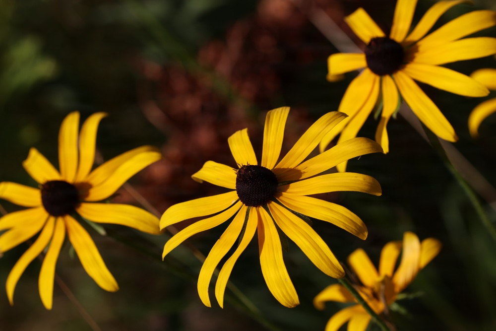 Mountain Biking on the Agonikak National Recreation Trail
