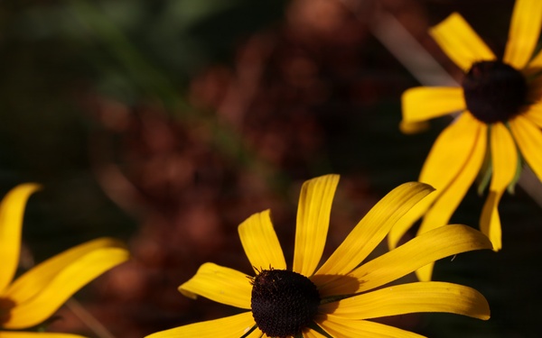 Mountain Biking on the Agonikak National Recreation Trail