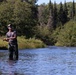 Prime Trout Fishing in the Ottawa National Forest