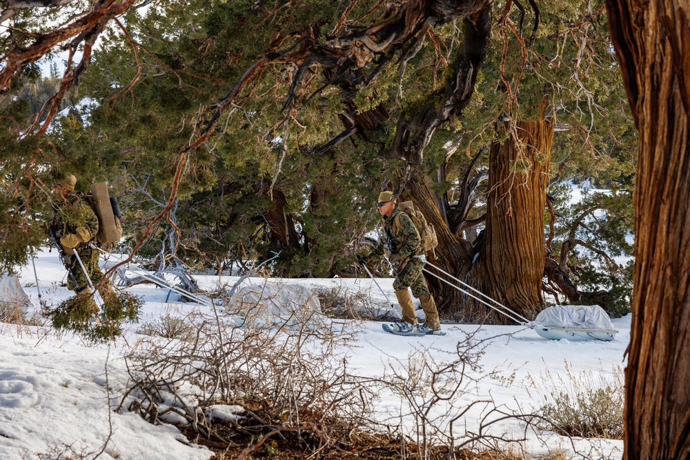 U.S. Marines with 2nd Bn., 4th Marines attend mountain survival class during MTX 1-26