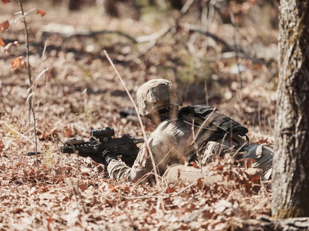 Panther Avalanche Day Live Fire Exercise
