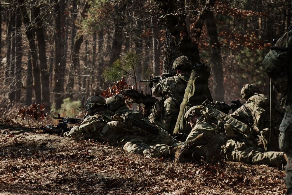 Panther Avalanche Day Live Fire Exercise