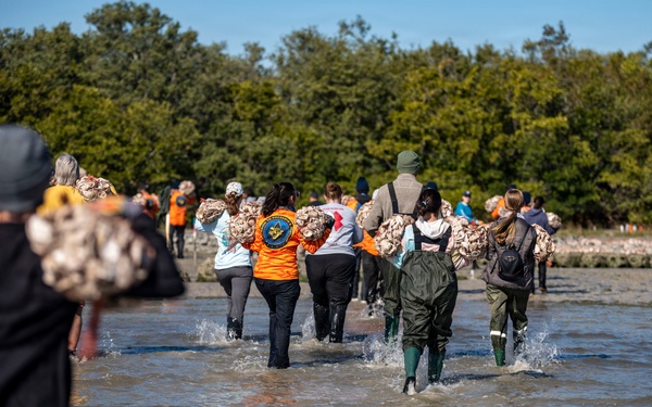 Community partners support MacDill Living Shoreline project