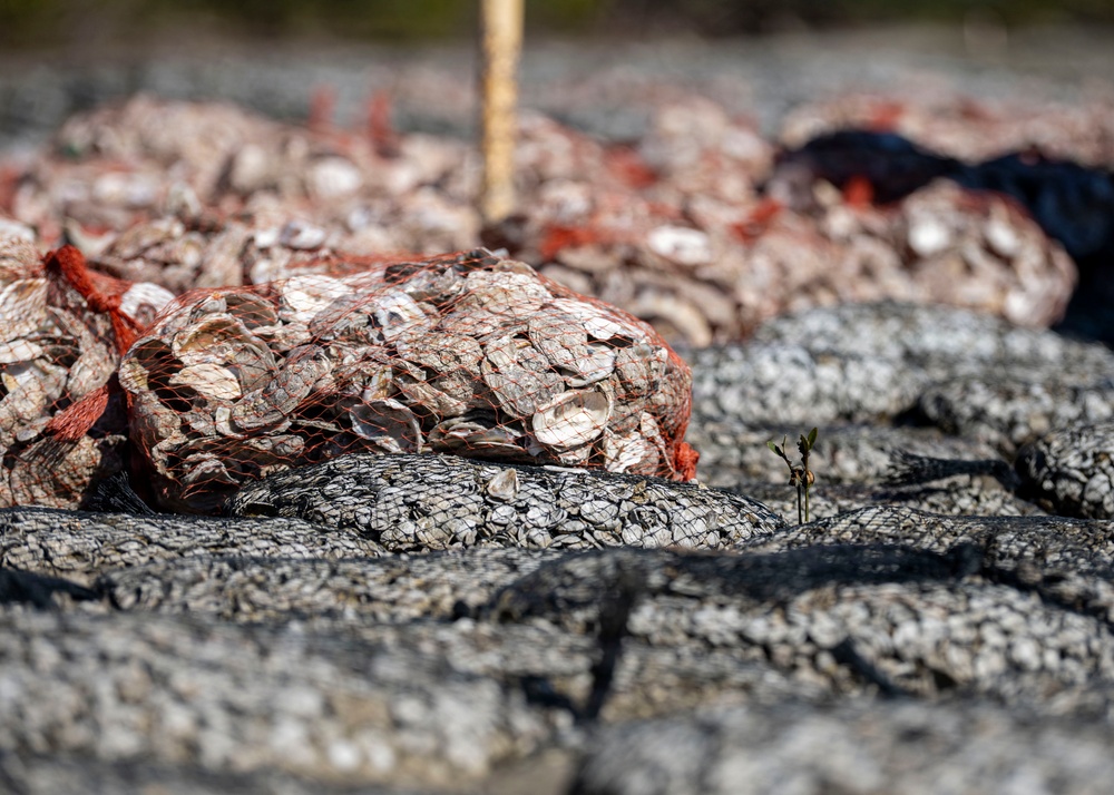 Community partners support MacDill Living Shoreline project