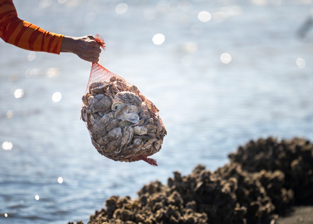 Community partners support MacDill Living Shoreline project