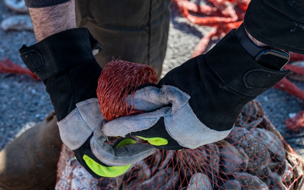 Community partners support MacDill Living Shoreline project